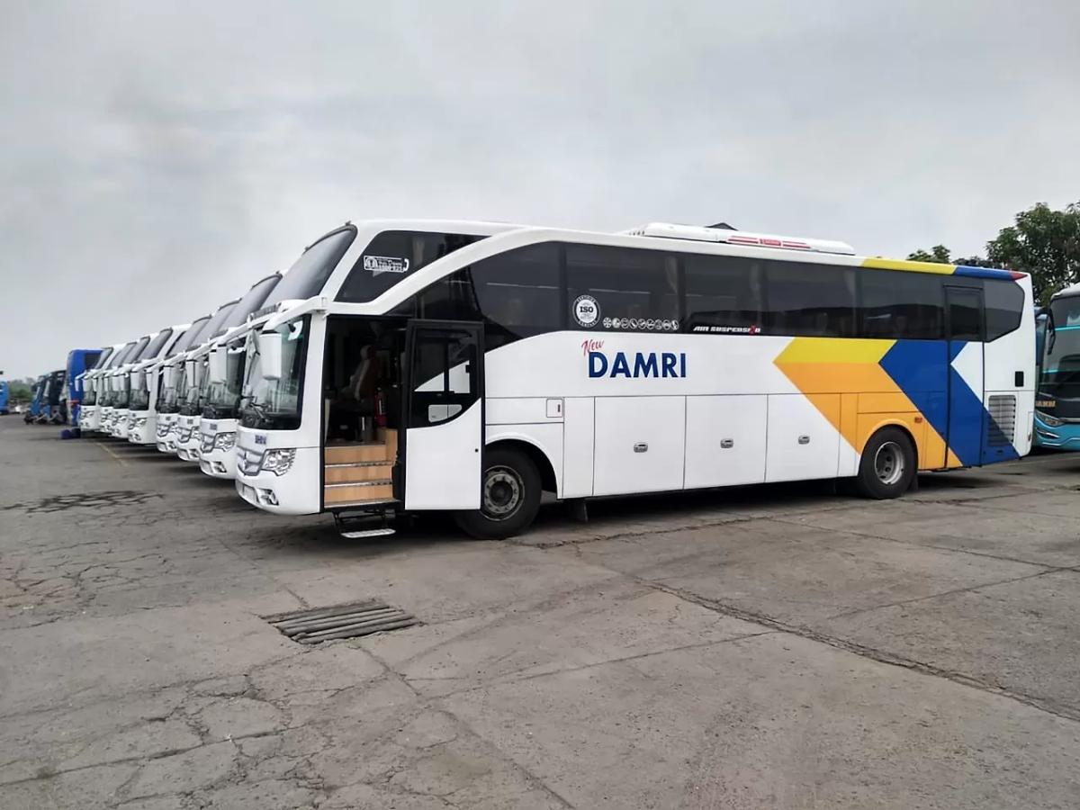 Kabar Baik! Damri Buka Kembali Rute Palu-Gorontalo