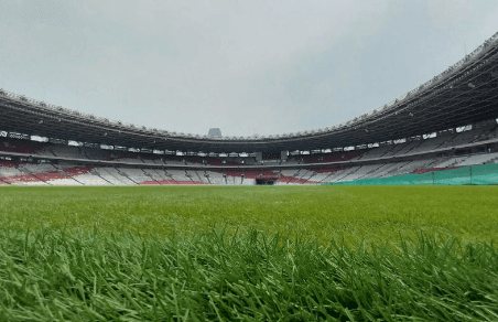 Erick Thohir Pastikan Rumput Stadion Gelora Bung Karno Siap untuk Timnas Indonesia