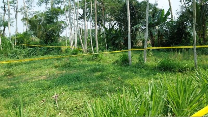 Polisi Periksa 10 Saksi Terkait Kasus Siswi MI di Banyuwangi Tewas Dibunuh-Diperkosa