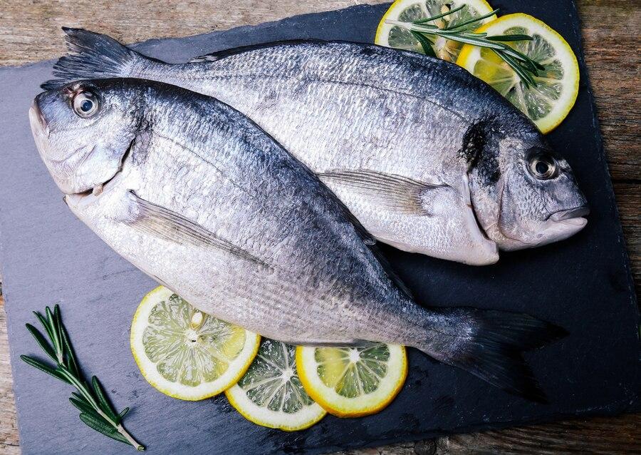 Hari Ikan Nasional 21 November: Perayaan Penting untuk Kelestarian dan Pemanfaatan Sumber Daya Laut