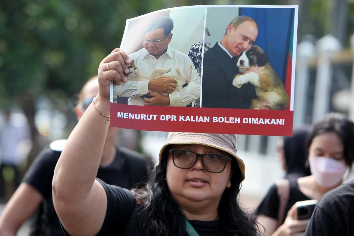 Tolak Konsumsi Daging Anjing-Kucing