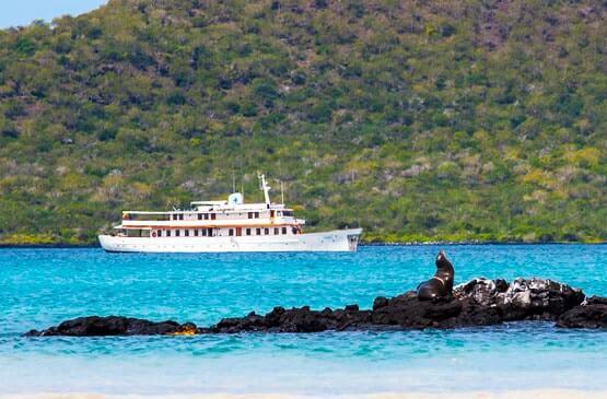 13 Kapal Pesiar Terbaik untuk Menjelajahi Keindahan Galápagos, Pilih Sesuai Gaya Liburanmu!