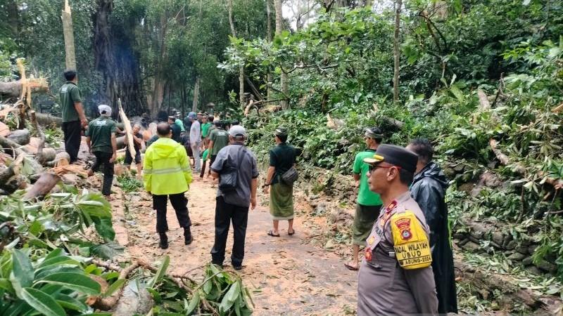 Korban Luka Akibat Pohon Tumbang di Ubud Bali Jalani Operasi Patah Tulang Rusuk