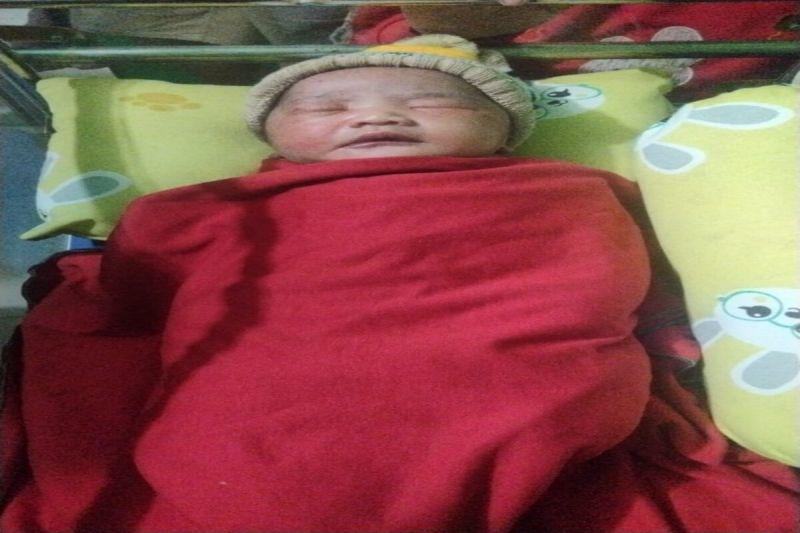 Mau Cari Rumput, Warga Lampung Temukan Bayi Baru Lahir di Gubuk Kebun Jagung