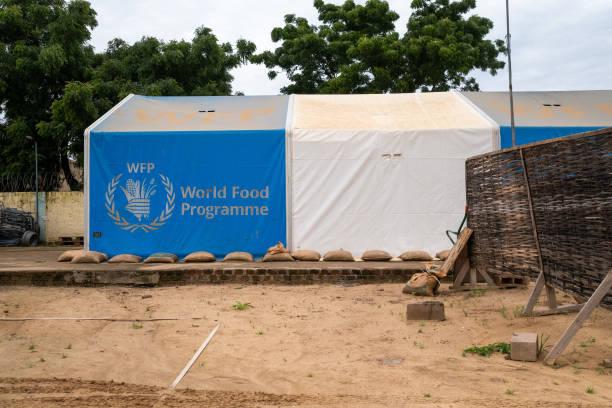 WFP Desak Investigasi Penuh atas Tewasnya 3 Pegawai Akibat Serangan Udara di Sudan