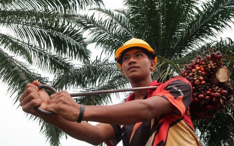 Kisah Pria Asal Lombok Bertaruh Mimpi di Malaysia