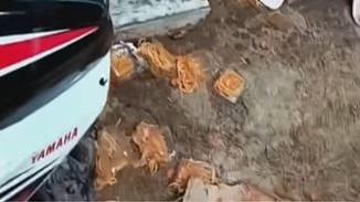 Ibu Kantin Sekolah di Brebes Viral usai Buang Dagangan Siswa Padahal Tugas Berakhir Damai