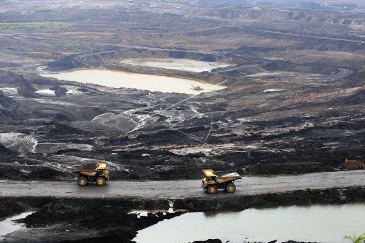 Legislator Ini Ungkap Banyak Praktik Tata Kelola Tambang yang Perlu Dievaluasi