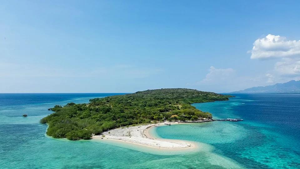 Menjangan Island: Surga Tersembunyi untuk Penyuka Diving di Bali Barat