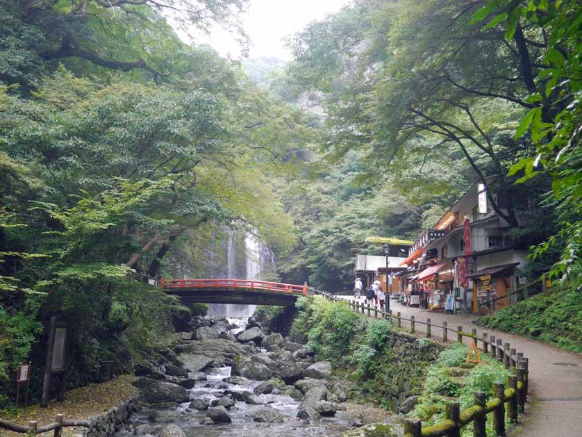 Minoo Park: Destinasi Alam dengan Air Terjun di Osaka