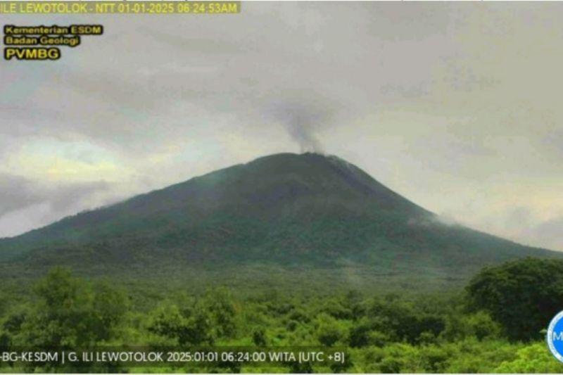 Badan Geologi: Aktivitas Gunung Ili Lewotolok Masih Tinggi, Waspada Ditingkatkan