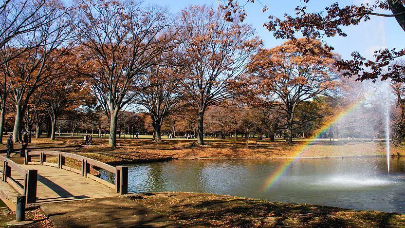 Yoyogi Park: Keindahan Taman Luas di Shibuya, Tokyo