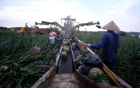 Bea Masuk Bibit dan Benih Dibebaskan untuk Industri Pertanian, Peternakan, dan Perikanan