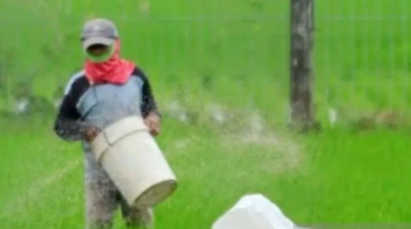 Penuhi Kebutuhan Petani 2025, Karawang Alokasikan 88.719 Ton Pupuk Subsidi