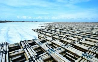 Ditinjau Menko AHY, Matras Bambu Tol Semarang-Demak Tersisa Satu  Kilometer Lagi