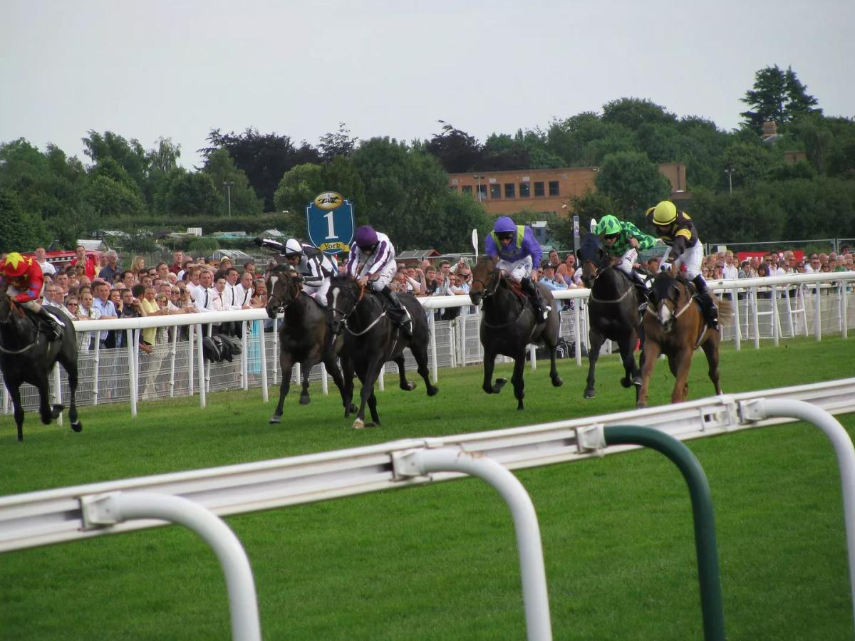 Menelusuri Sejarah dan Keistimewaan York Races, Tempat Horse Racing Terkenal di Inggris