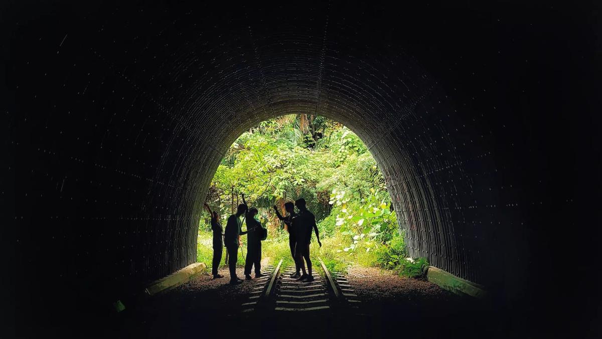 Jelajah Clementi Forest, Surga Tersembunyi di Tengah Modernitas Singapura