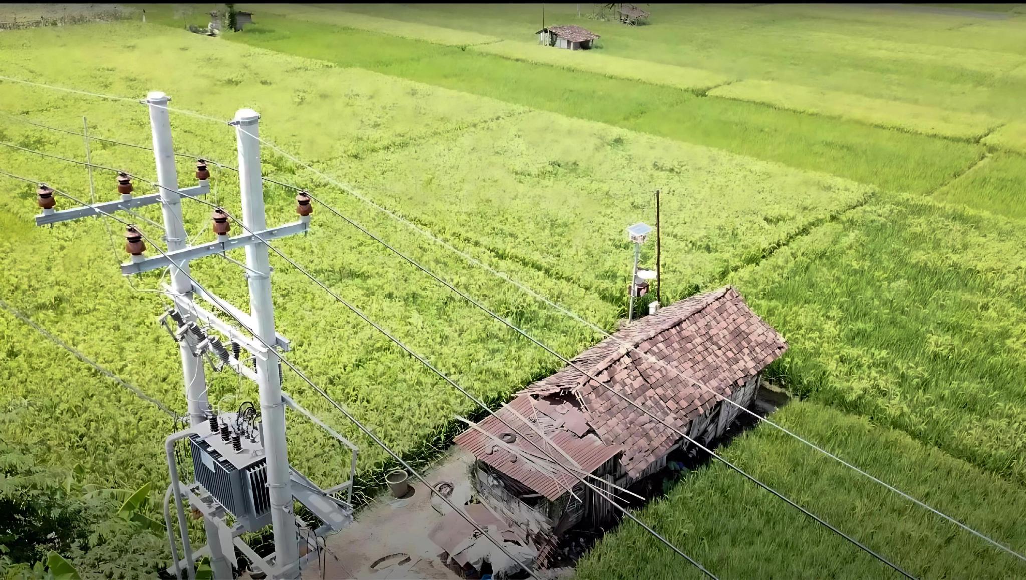PLN Raih 53.539 Pelanggan Baru Electrifying Agriculture Sepanjang 2024