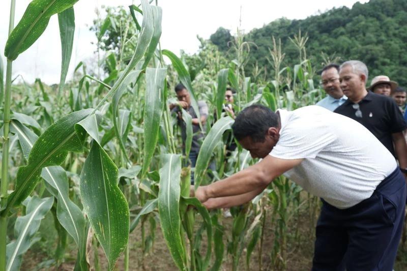Bersama Masyarakat Maros, Mentan Amran Sangat Menikmati Jagung Bakar