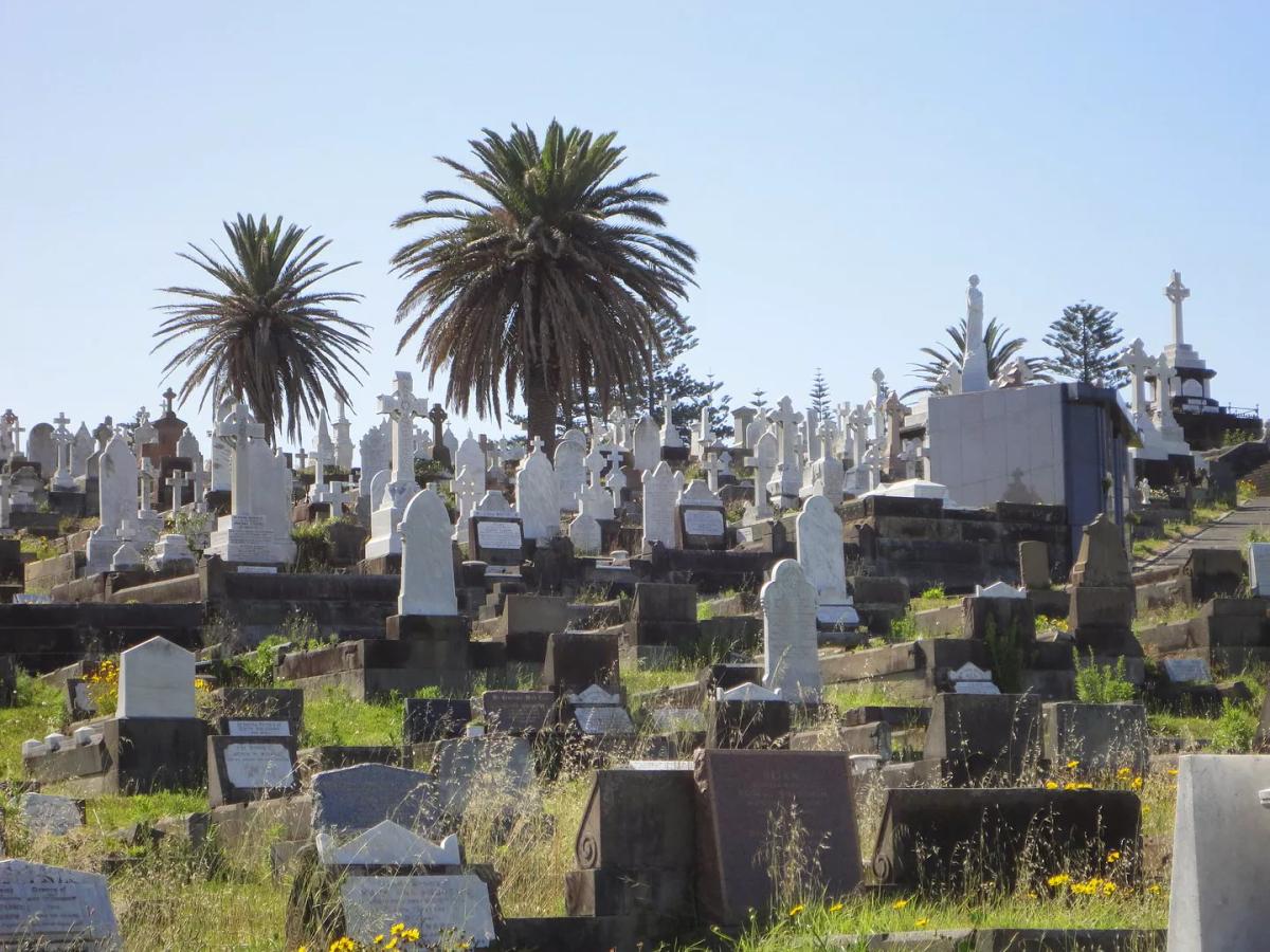 Waverley Cemetery: Jejak Sejarah dan Keindahan Abadi di Tebing Bronte, Sydney