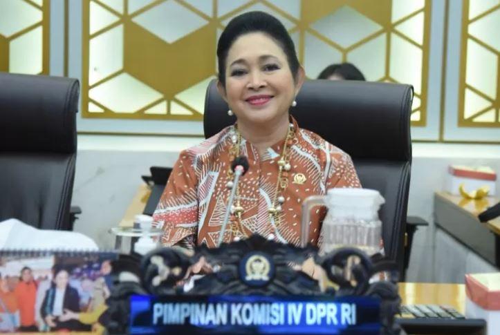 Dukung Swasembada Pangan, Titiek Soeharto: Percepat Realisasi Bantuan Kelompok Tani