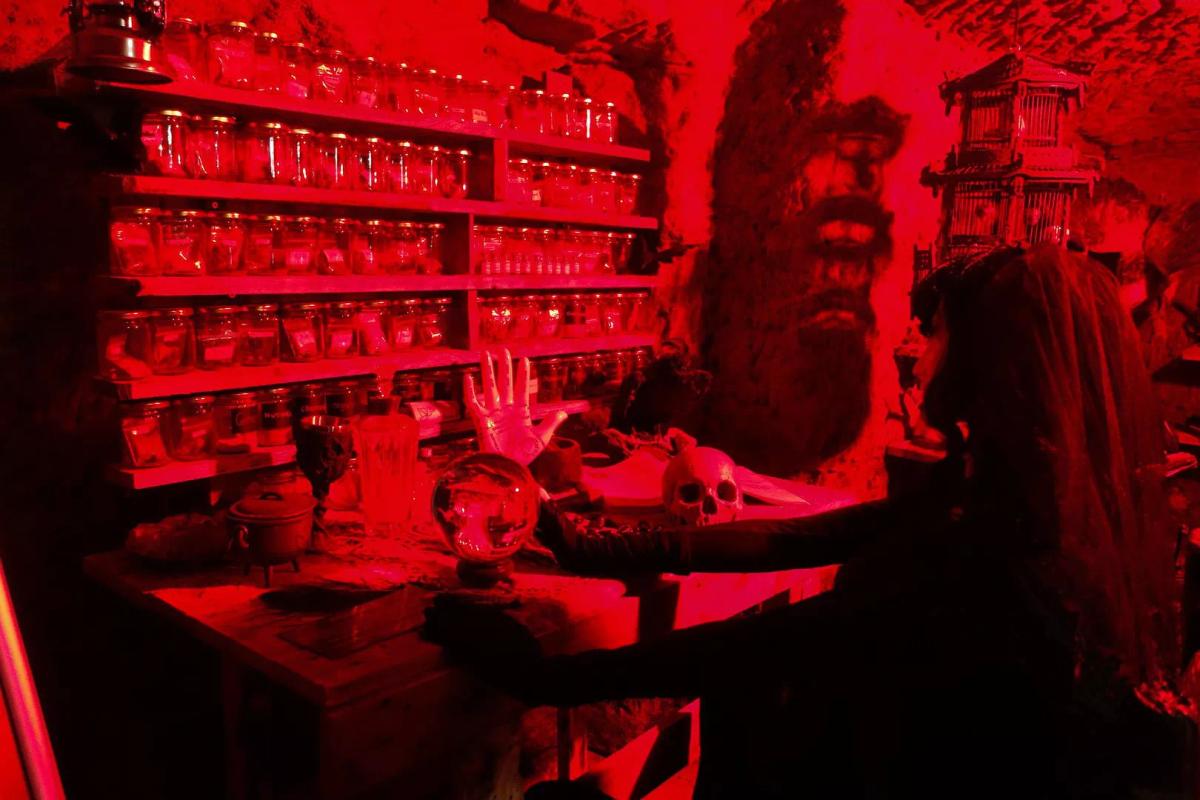 Museum of Curiosities, Wisata Supranatural di Nottingham
