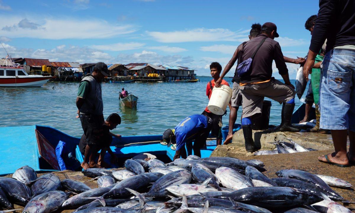 KKP Siapkan Sistem Informasi Cold Storage Perkuat Hilirisasi Perikanan