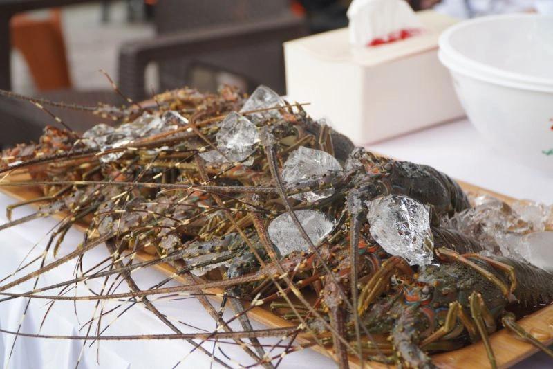 Begini Komitmen KKP Genjot Pengembangan Budidaya Lobster