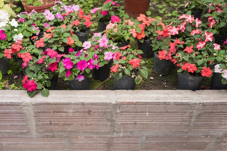 9 Tips Membuat Taman Bunga Depan Rumah Minimalis