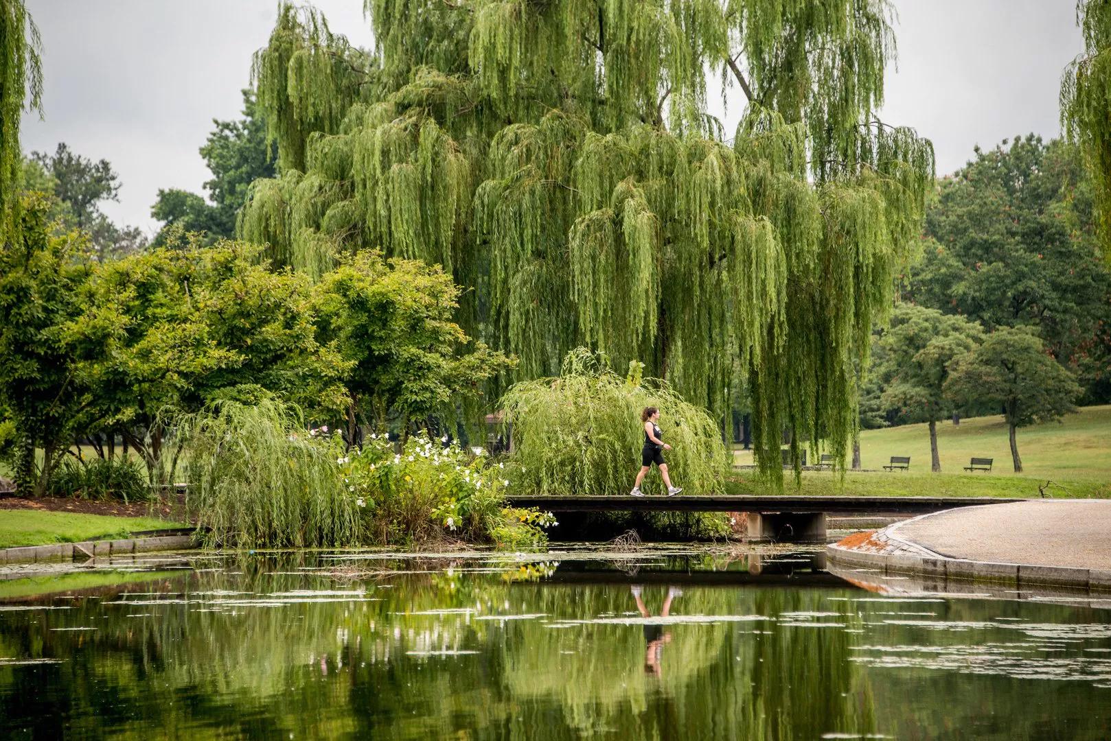 Constitution Gardens, Warisan Sejarah di Jantung Washington D.C.