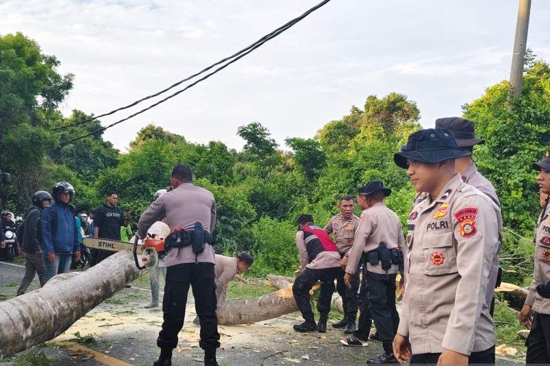 Nahas! Mau Berangkat Sekolah, Pelajar di Bali Tewas Tertimpa Pohon Tumbang