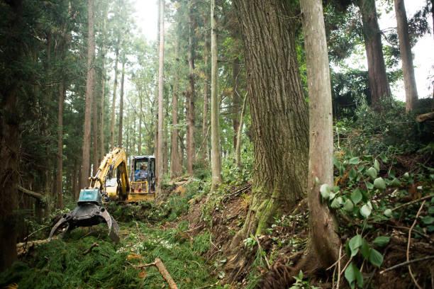 Kades dan Sekdes di Inhu Riau Ditangkap atas Penjualan Ilegal Kawasan Hutan 150 Hektare Senilai Rp1,8 Miliar