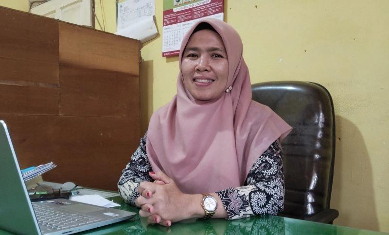 Ini Penyebab Produksi Padi Padang Pariaman 2024 Turun 35,7 Ribu Ton