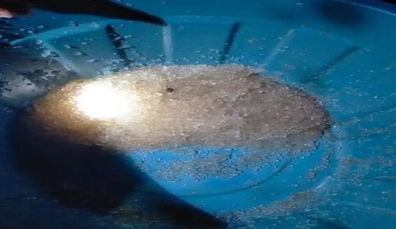 Misteri Hujan Jelly di Gorontalo, BMKG Ungkap Kemungkinan Penyebabnya