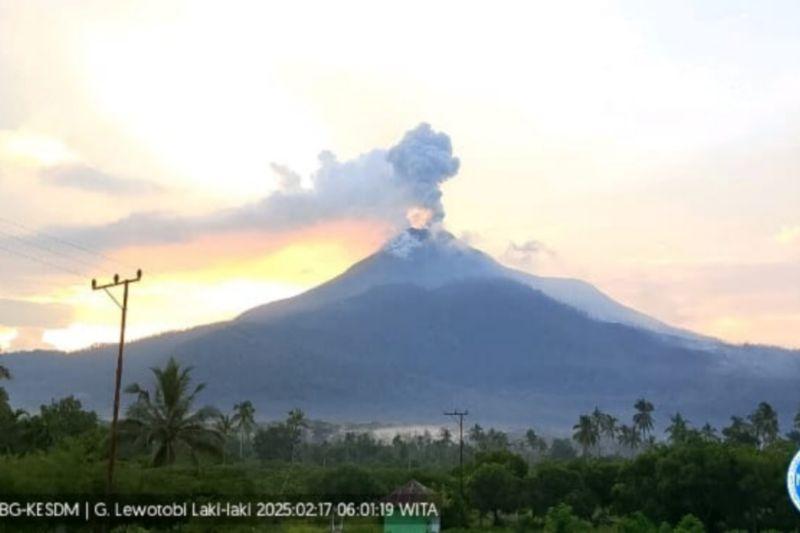 Gunung Lewotobi Laki-laki Erupsi Semburkan Abu Setinggi 900 Meter