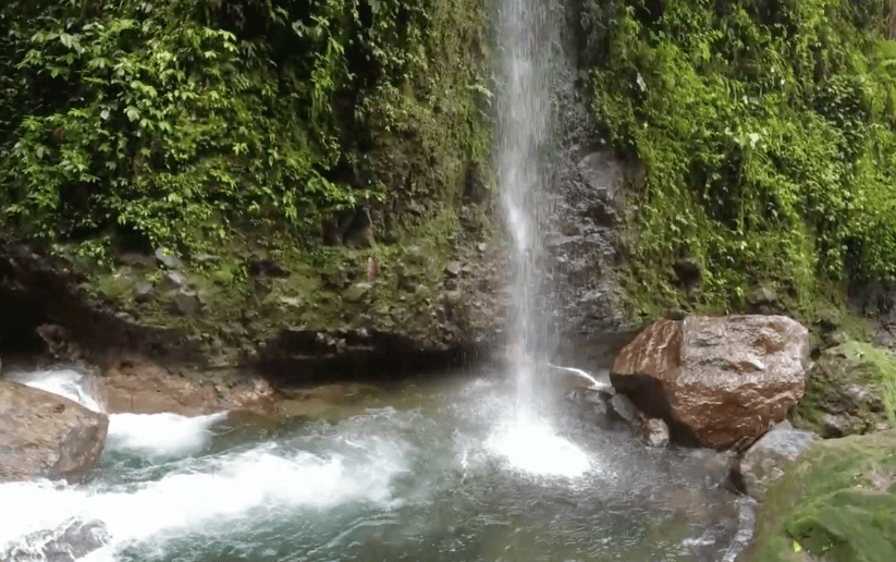 Curug Walet Bogor, Keindahan Alam Tersembunyi yang Wajib Dikunjungi
