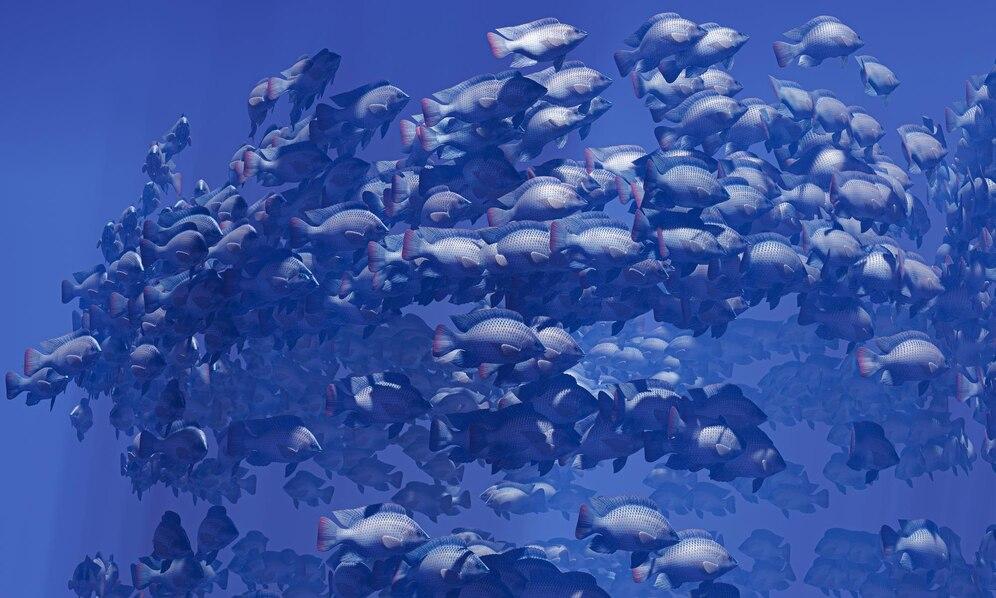 31 Arti Mimpi Melihat Ikan Banyak, Pertanda Baik atau Buruk?