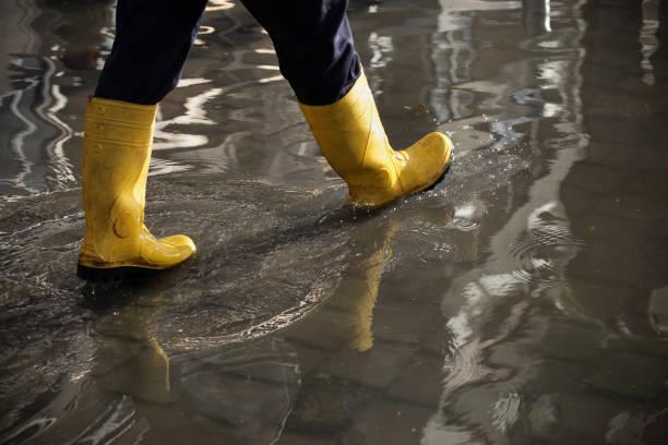 BPBD Jakarta: Waspada Potensi Banjir Rob di 12 Wilayah hingga 26 Februari
