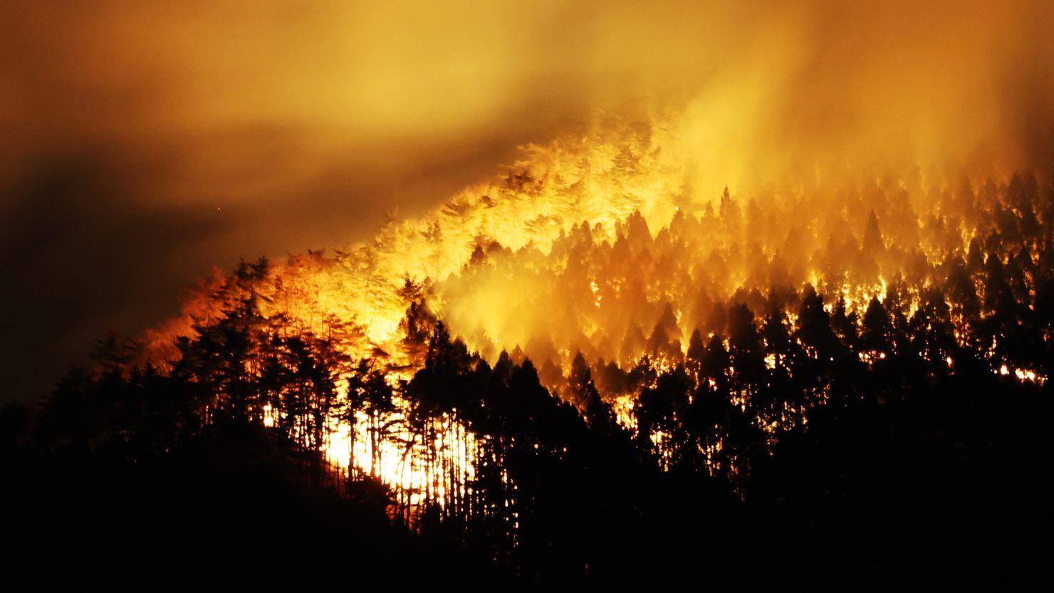 Kebakaran Hutan Besar Terjadi di Ofunato, Jepang, Ribuan Hektar Lahan Habis Tak Tersisa