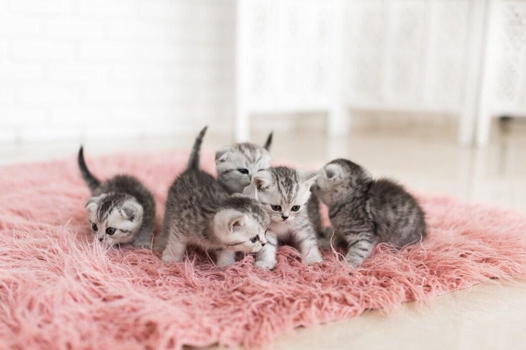 31 Arti Mimpi Melihat Kucing Melahirkan, Pertanda Apa?