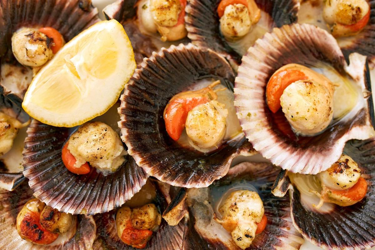Benarkah Kerang Tidak Aman Dikonsumsi? Mitos atau Fakta