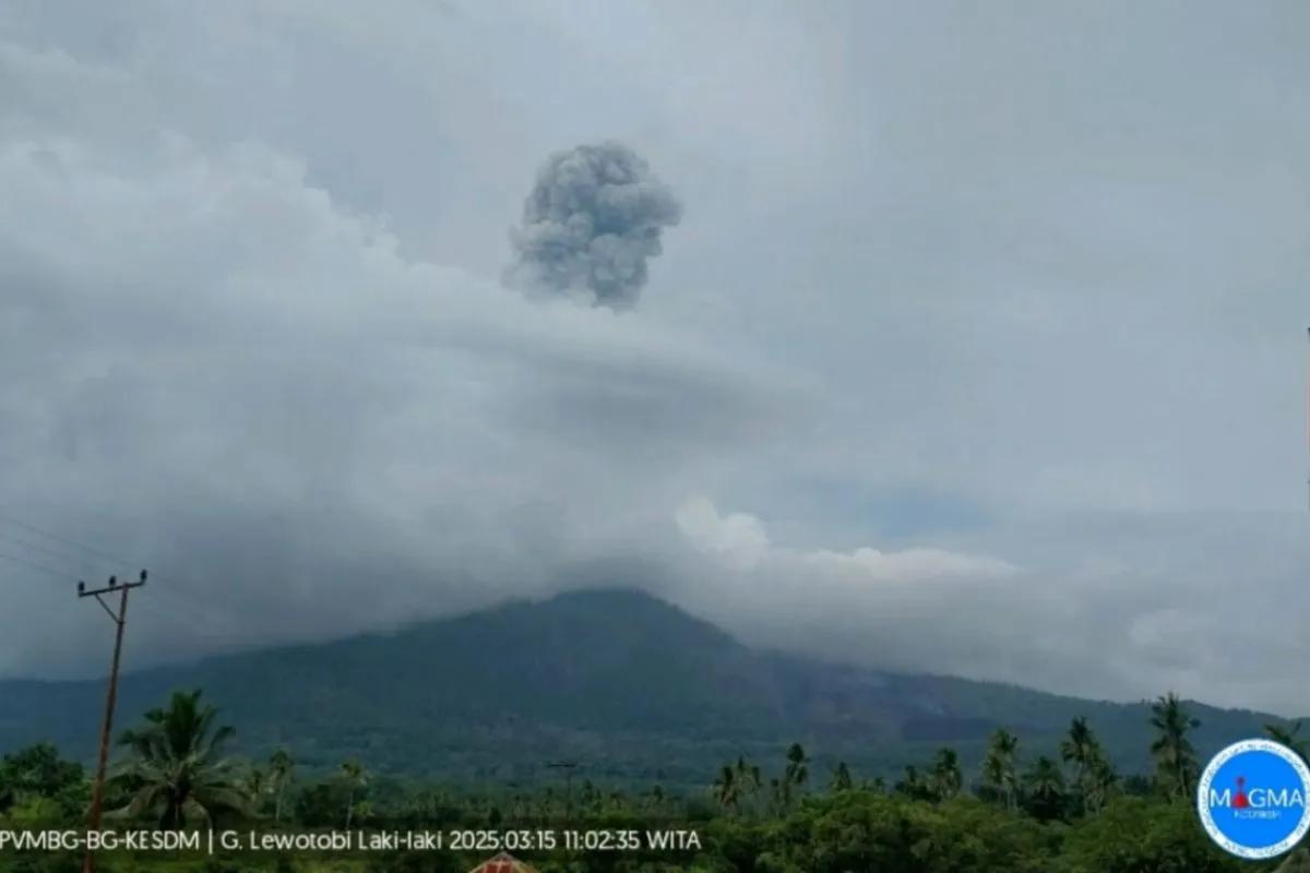 Tiga Letusan Terjadi di Gunung Lewotobi Laki-laki Sabtu Pagi, Status Siaga Ditingkatkan