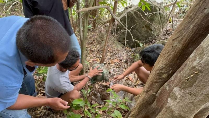 2 Rekannya Lebih Dulu Ditangkap, Penjual Narkoba di Riau Serahkan Diri ke Polisi