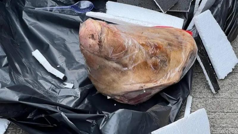 Tanggapi Teror Jurnalis Tempo, Komisi III Desak Polri Usut Tuntas
