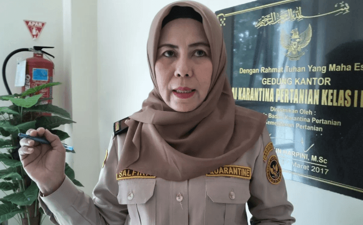Ekspor Hasil Laut Sumbar Capai Rp3,5 Miliar pada Triwulan I-2025