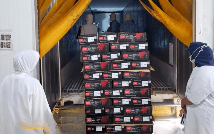 Sumbar Ekspor Perdana 19,9 Ton Tuna Beku ke Amerika Serikat