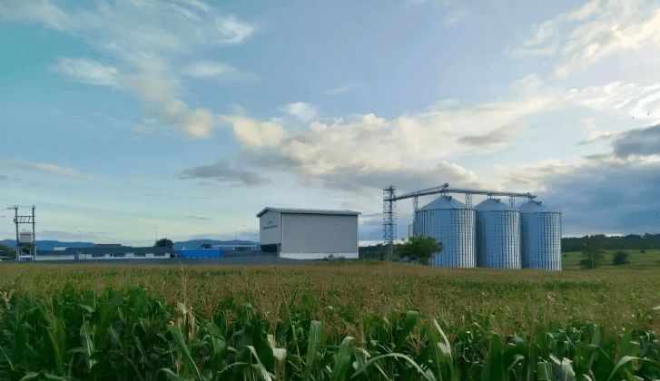 Perum Bulog Pastikan Penyerapan Jagung Sesuai HPP Terbaru