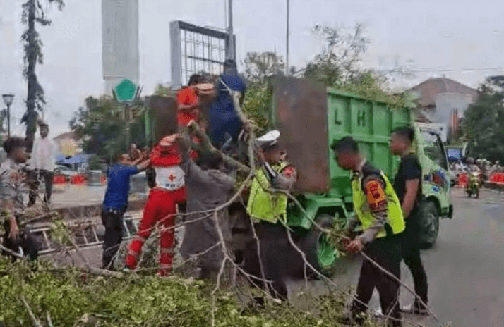 Dua Orang Meninggal Dunia Akibat Pohon Tumbang di Alun-Alun Pemalang