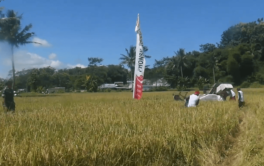 14.900 Hektare Sawah Siap Panen, Harga Gabah Dijaga Stabil Rp6.500 per Kilogram