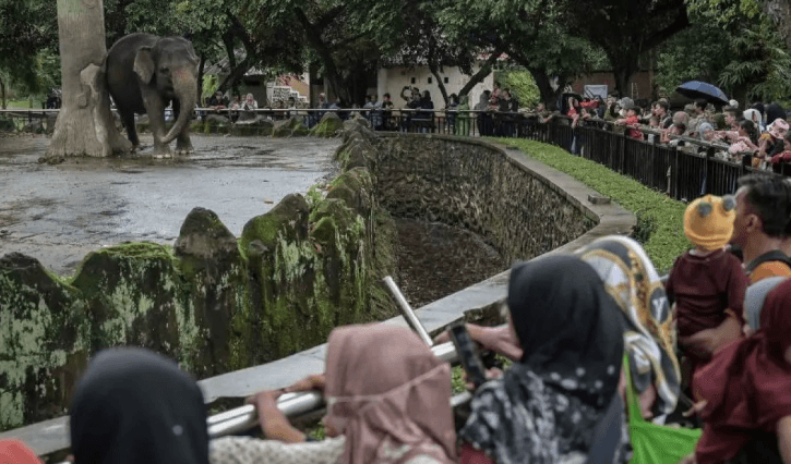 Ribuan Wisatawan Padati Taman Margasatwa Ragunan Selama Libur Lebaran 2025